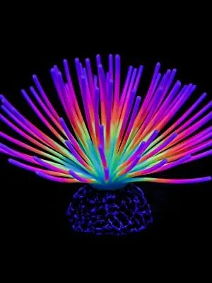 Pawfly Riccio di Mare Arcobaleno decorazione acquario silicone