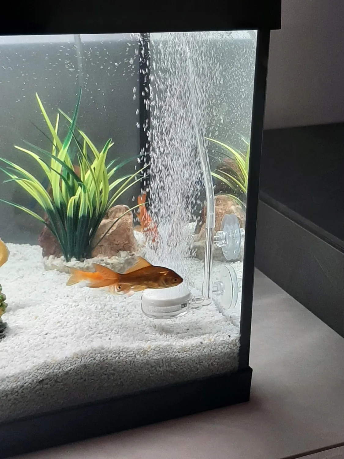 boxtech diffusore aria acquario 35 mm kit silenzioso