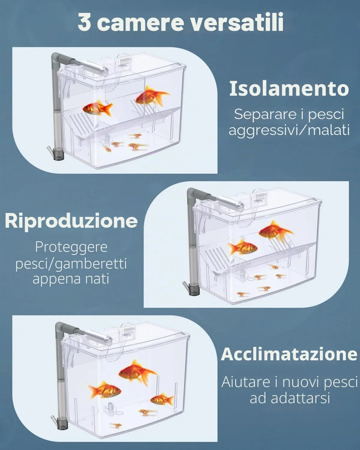 Pawfly incubatrice pesci acrilico 16 cm 3 scomparti