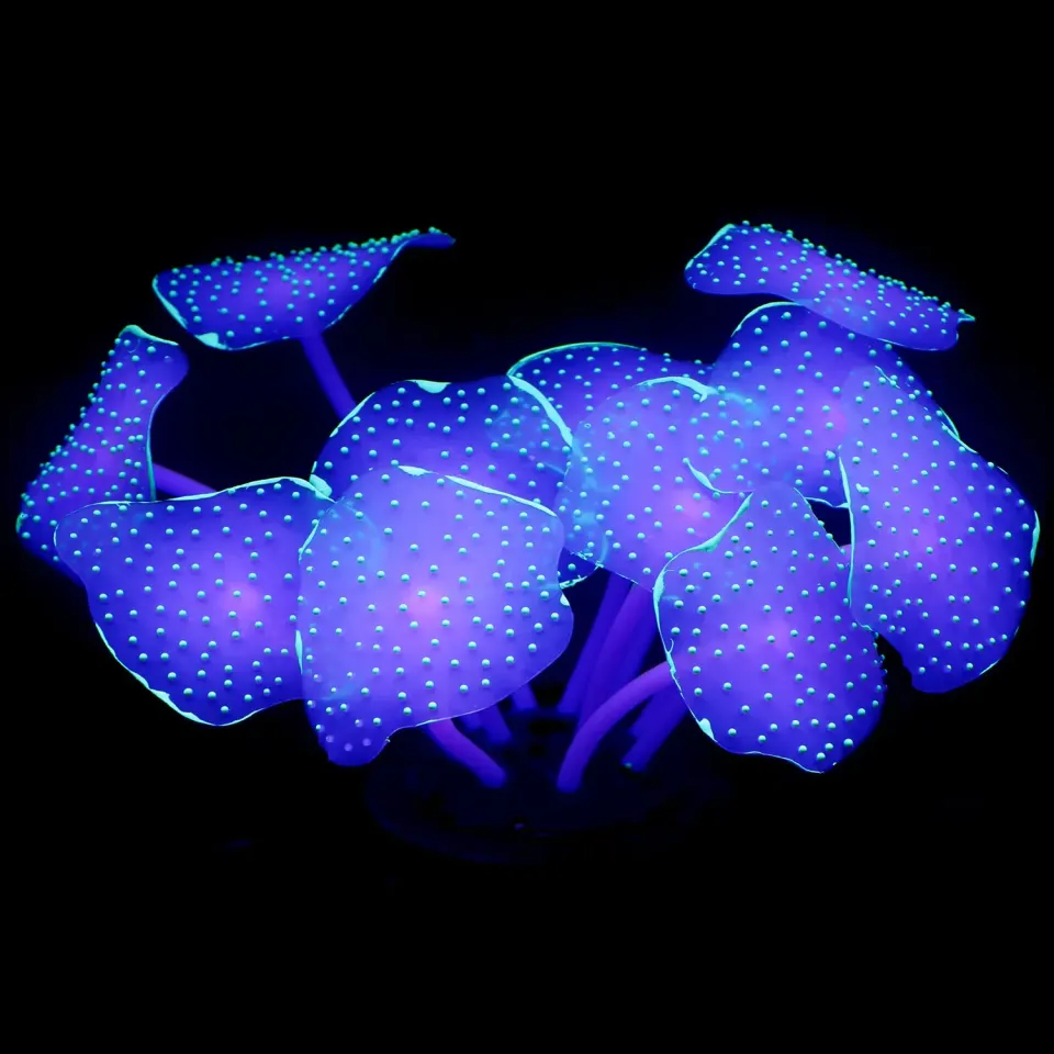 Pawfly corallo decorazione acquario verde silicone 10x6 cm