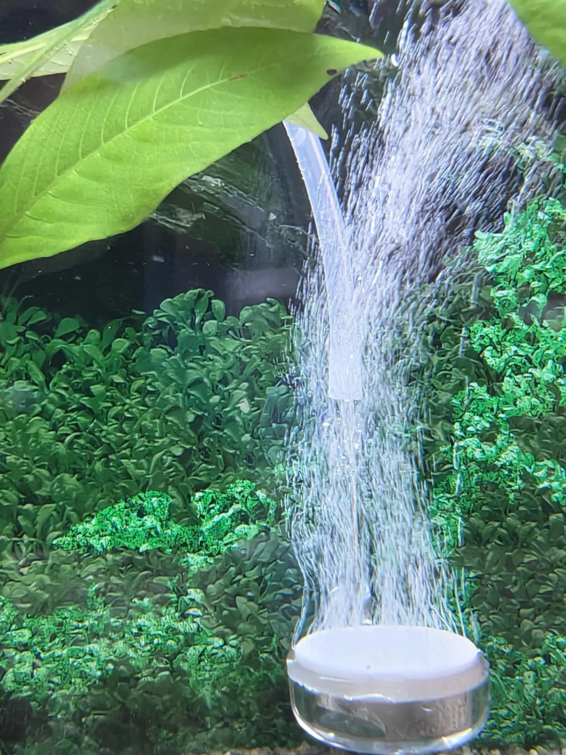 boxtech diffusore aria acquario 35 mm kit silenzioso