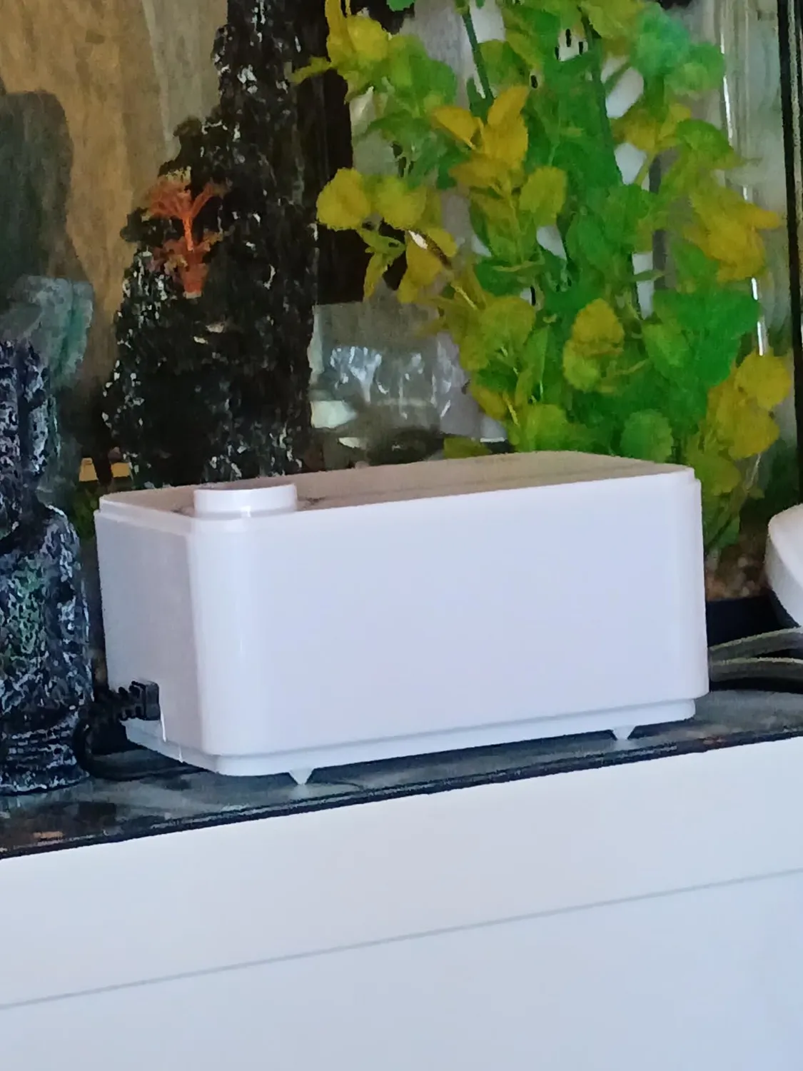 Boxtech Pompa Aria Acquario 5W Bianca 2 Uscite Regolabile