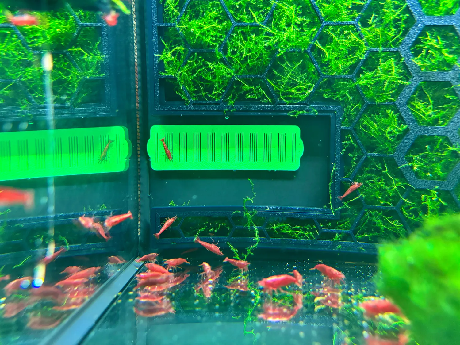 Moby Lab Griglie Aspirazione Fluval Flex 34L Nere in PETG