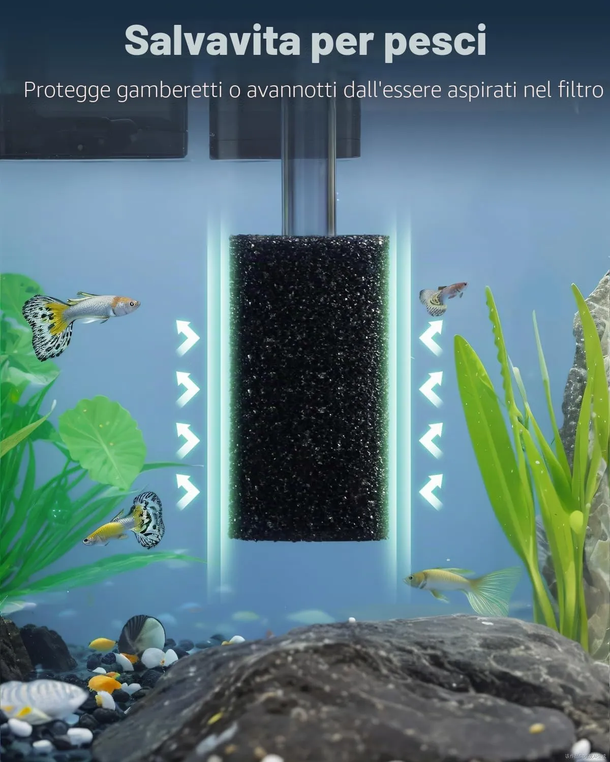 Pawfly spugne pre-filtro acquario 1,5 cm 12 pezzi anti-aspirazione