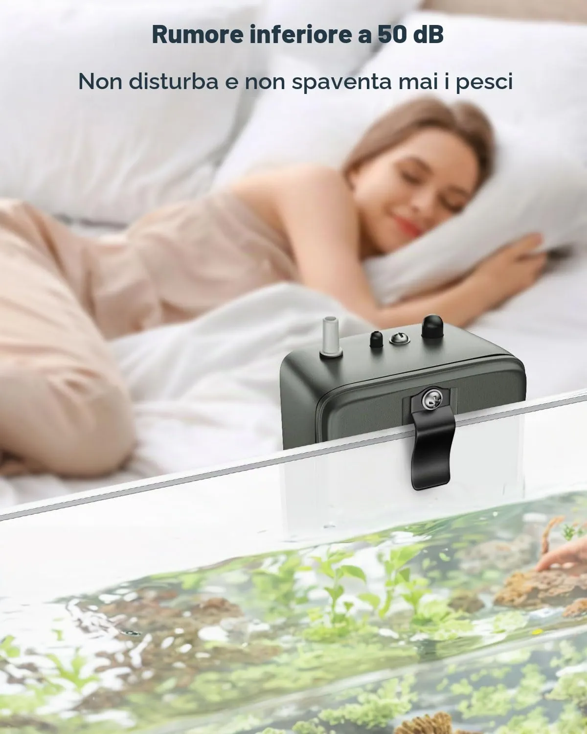 Pawfly Ossigenatore Batteria 2,5 l/min Portatile da Pesca