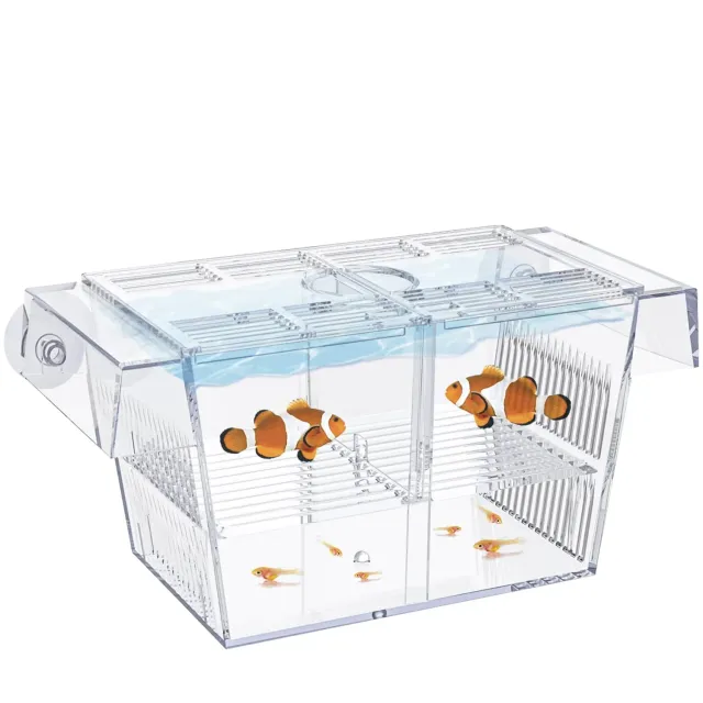 Pawfly Sala Parto Acrilico M 13,5 cm per Avannotti e Guppy
