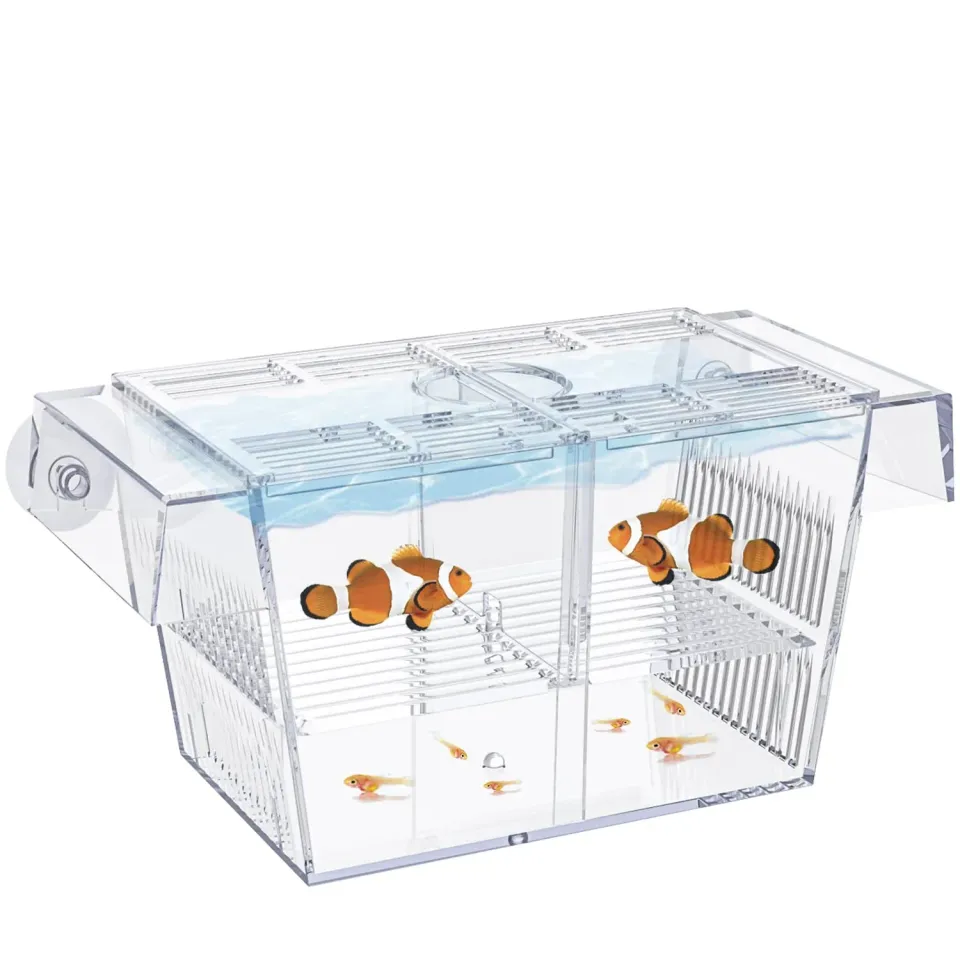 Pawfly Sala Parto Acrilico M 13,5 cm per Avannotti e Guppy