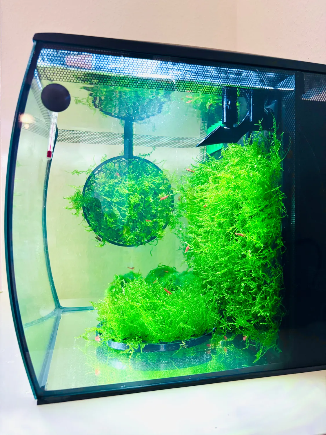 Moby Lab Skimmer superficie per Fluval Flex 34L 57L
