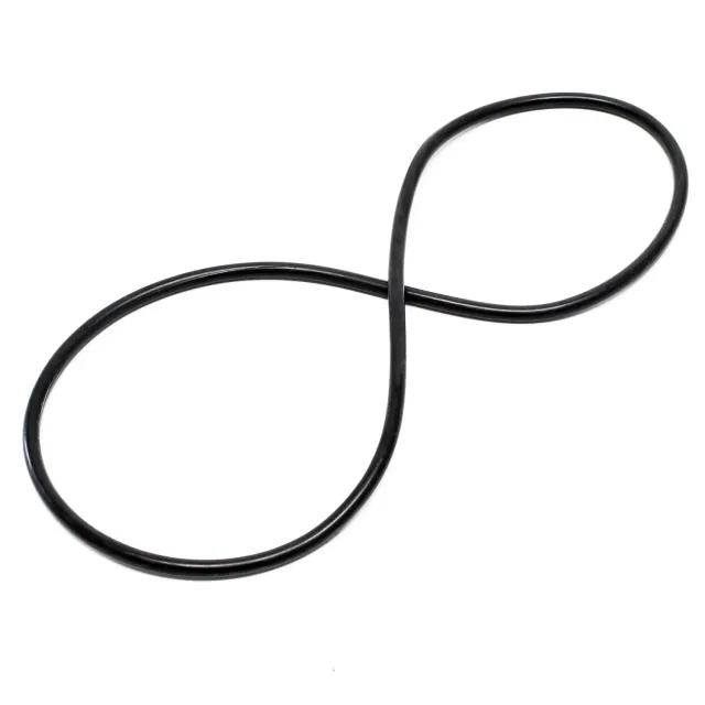 SunSun CPF-280/380/500 O-ring ricambio coperchio filtro