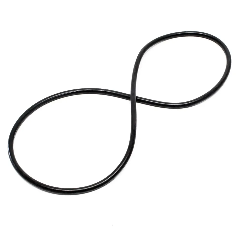 SunSun CPF-280/380/500 O-ring ricambio coperchio filtro