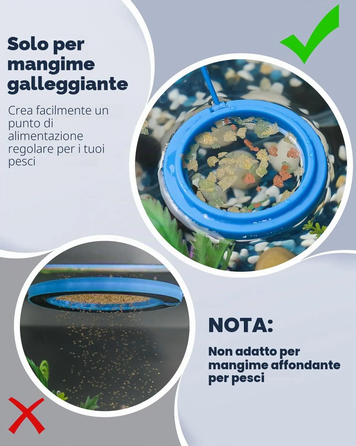Pawfly Anello Alimentazione Pesci 2 Pezzi Rotondo Quadro