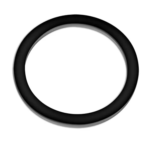 SunSun CPF-5000 CPF-10000 guarnizione filtro pressione