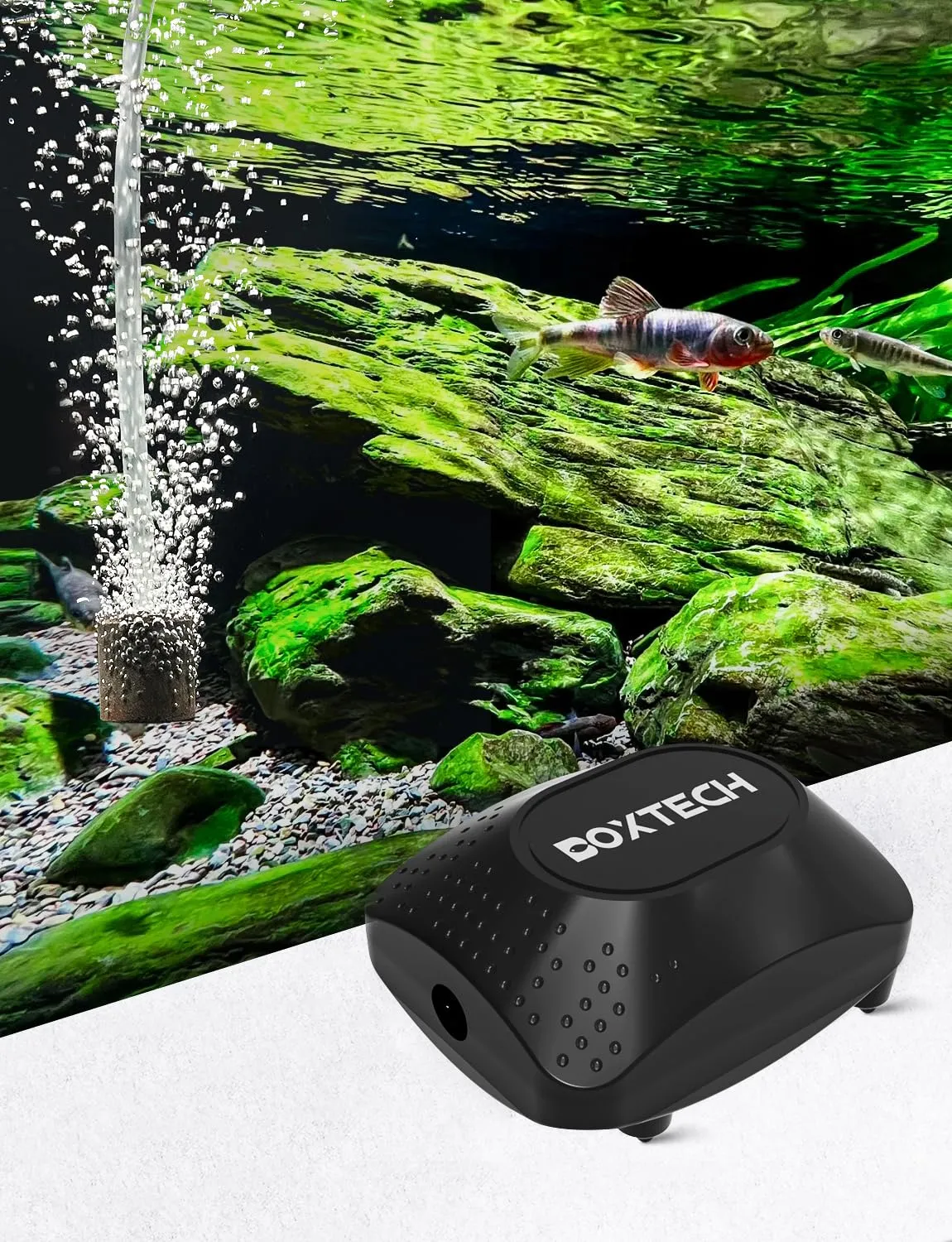 boxtech mini aeratore acquario 1,5W kit pietra aria