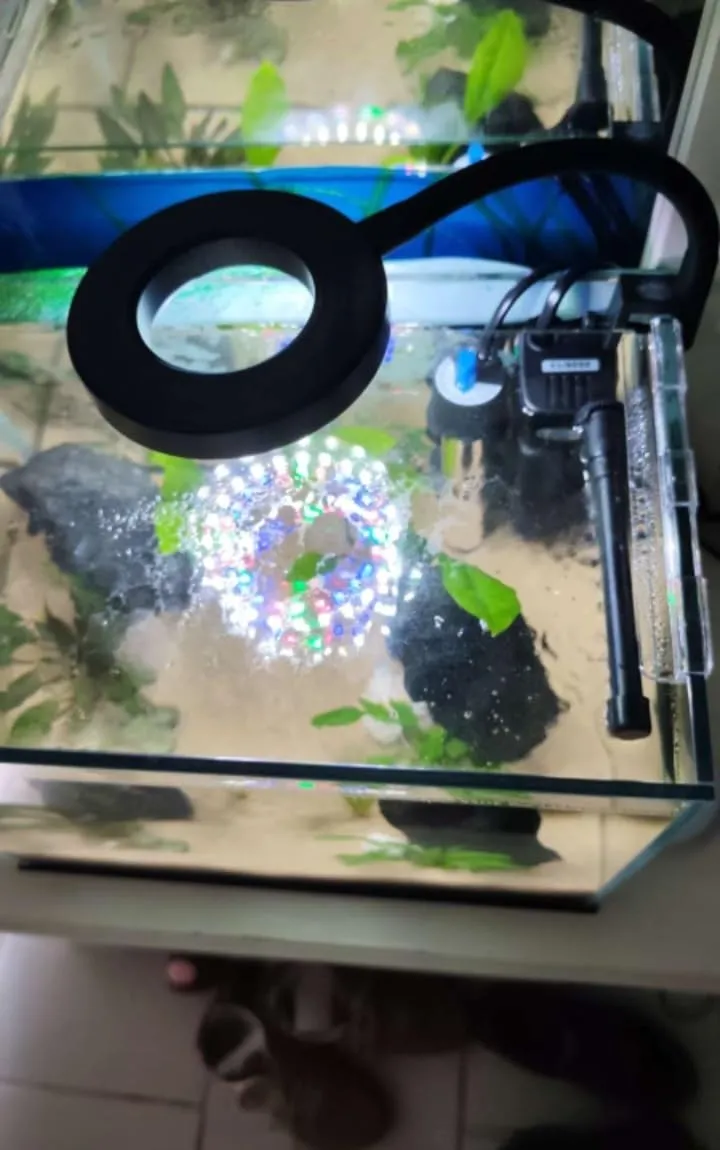 Pawfly Lampada LED Acquario Clip USB 4,5W Spettro Completo