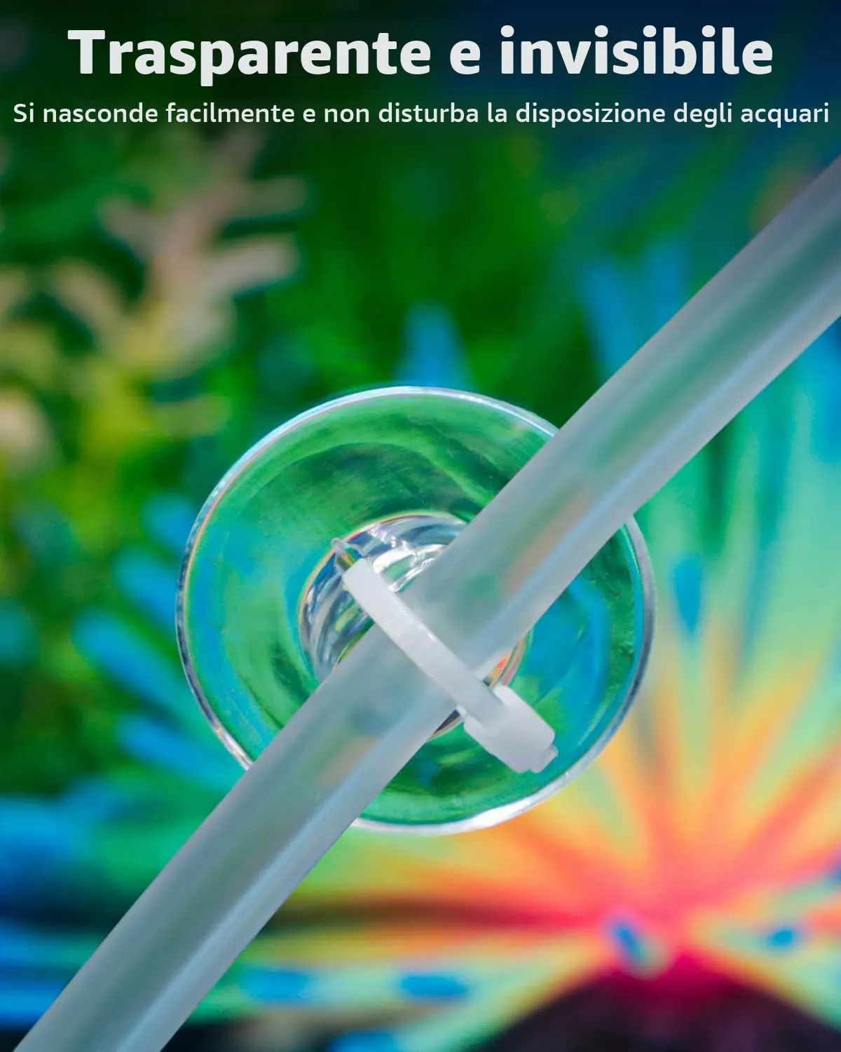 Pawfly ventose acquario trasparenti 10 pz con 20 fascette