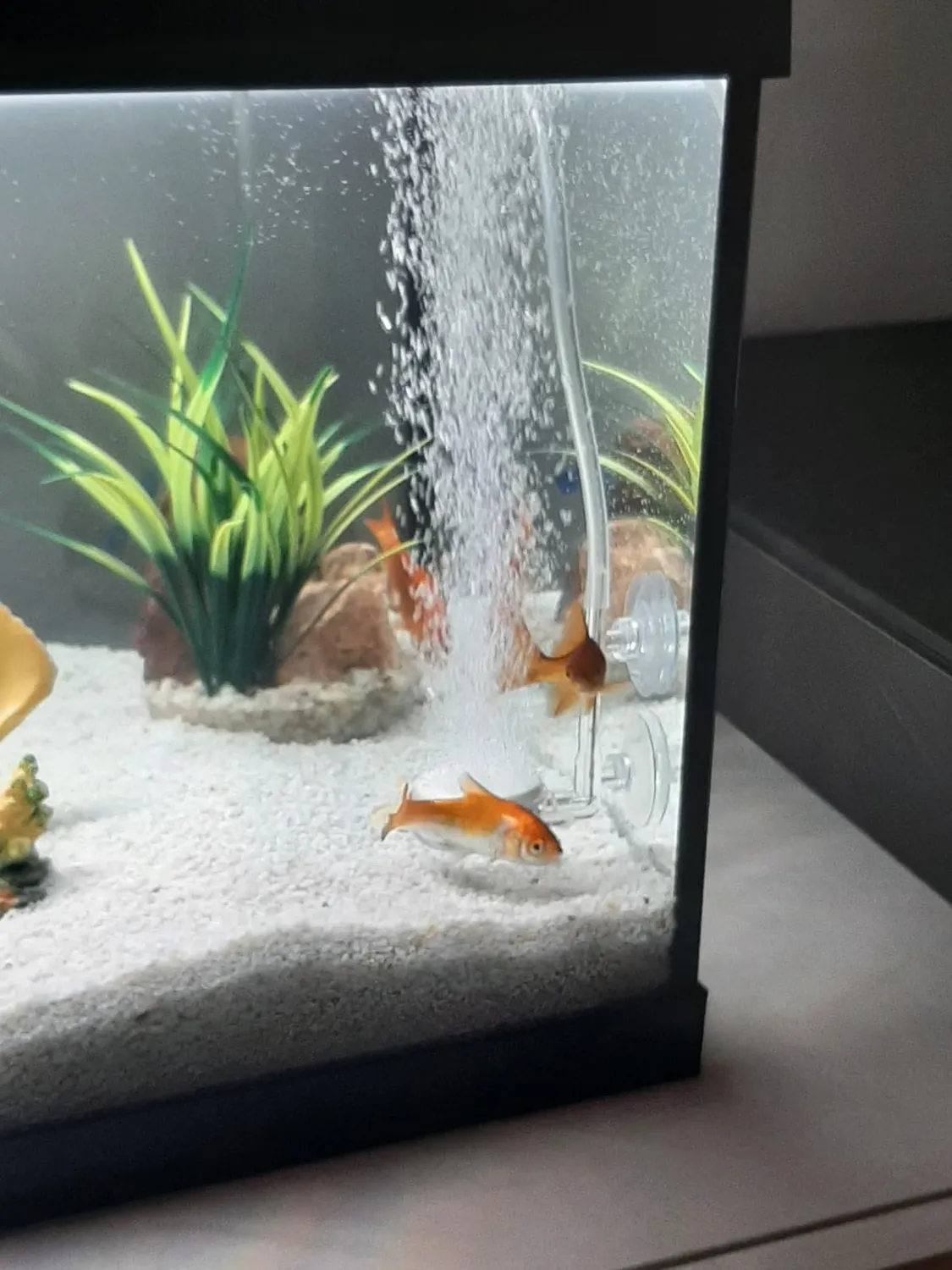 boxtech diffusore aria acquario 35 mm kit silenzioso