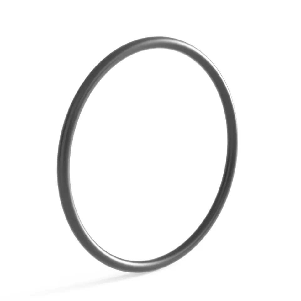 SunSun CUV-172 O-Ring 2 guarnizione ricambio sterilizzatore