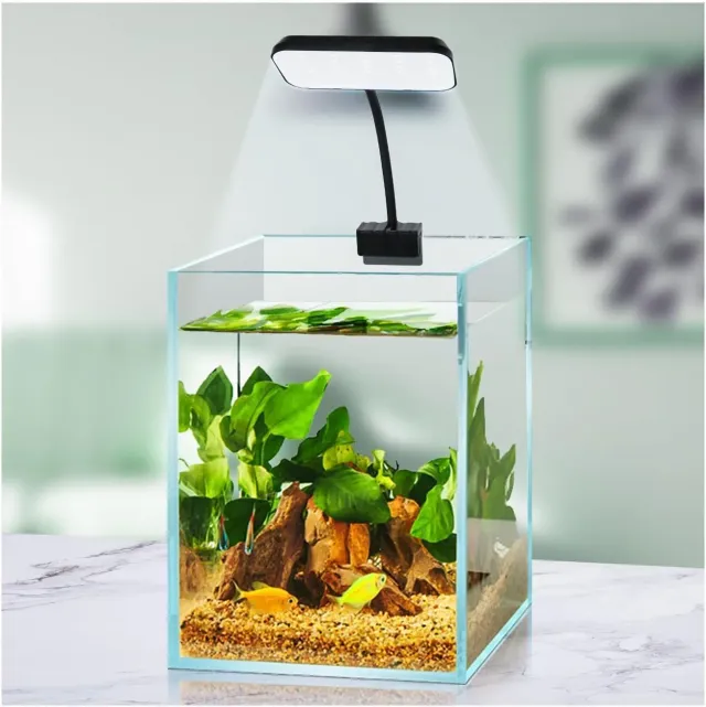 boxtech Lampada LED Acquario 8W Spettro Completo Clip