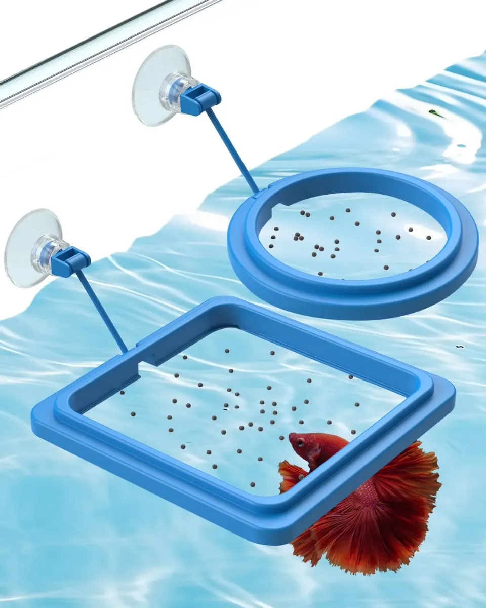 Pawfly Anello Alimentazione Pesci 2 Pezzi Rotondo Quadro