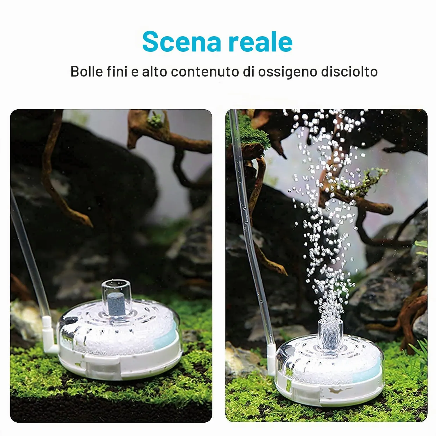 Boxtech Filtro Spugna Acquario Nano ad Aria 7 cm