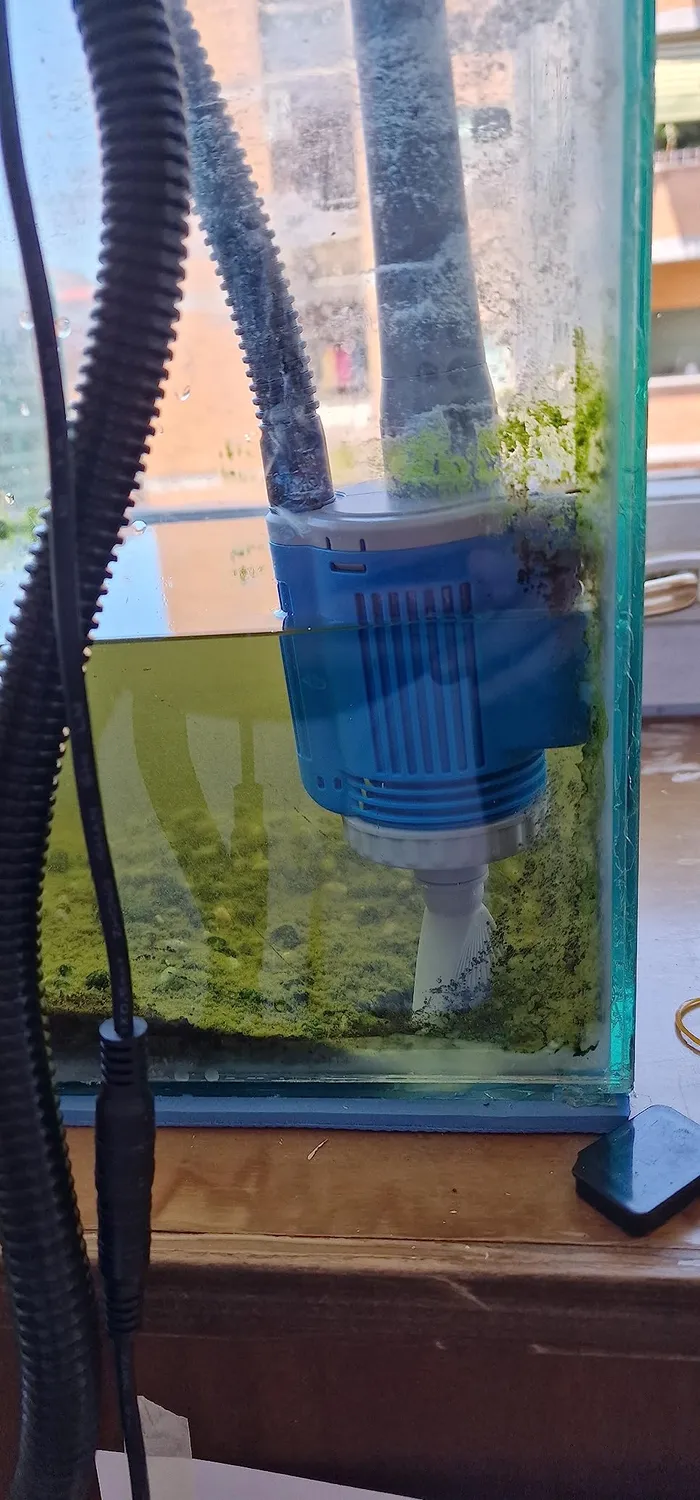 Boxtech 6 in 1 pulitore elettrico acquario 2000 L/h
