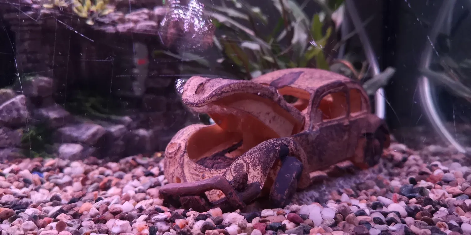 boxtech auto relitto decorazione acquario resina 16 cm