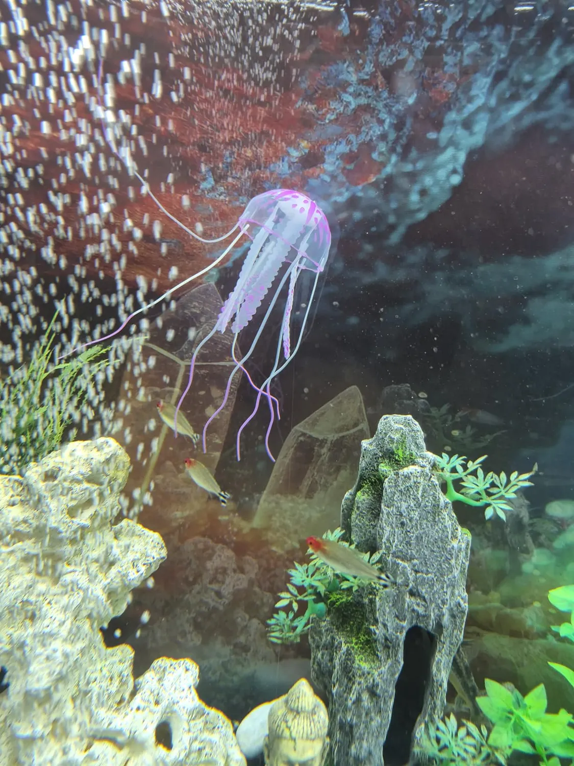 Pawfly meduse decorative acquario 6 pezzi silicone