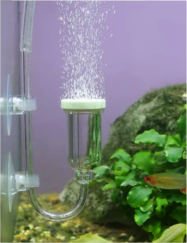 boxtech Pietra Aria Acquario Diffusore Nano 25 mm con Valvola