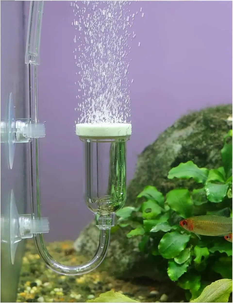 boxtech Pietra Aria Acquario Diffusore Nano 25 mm con Valvola