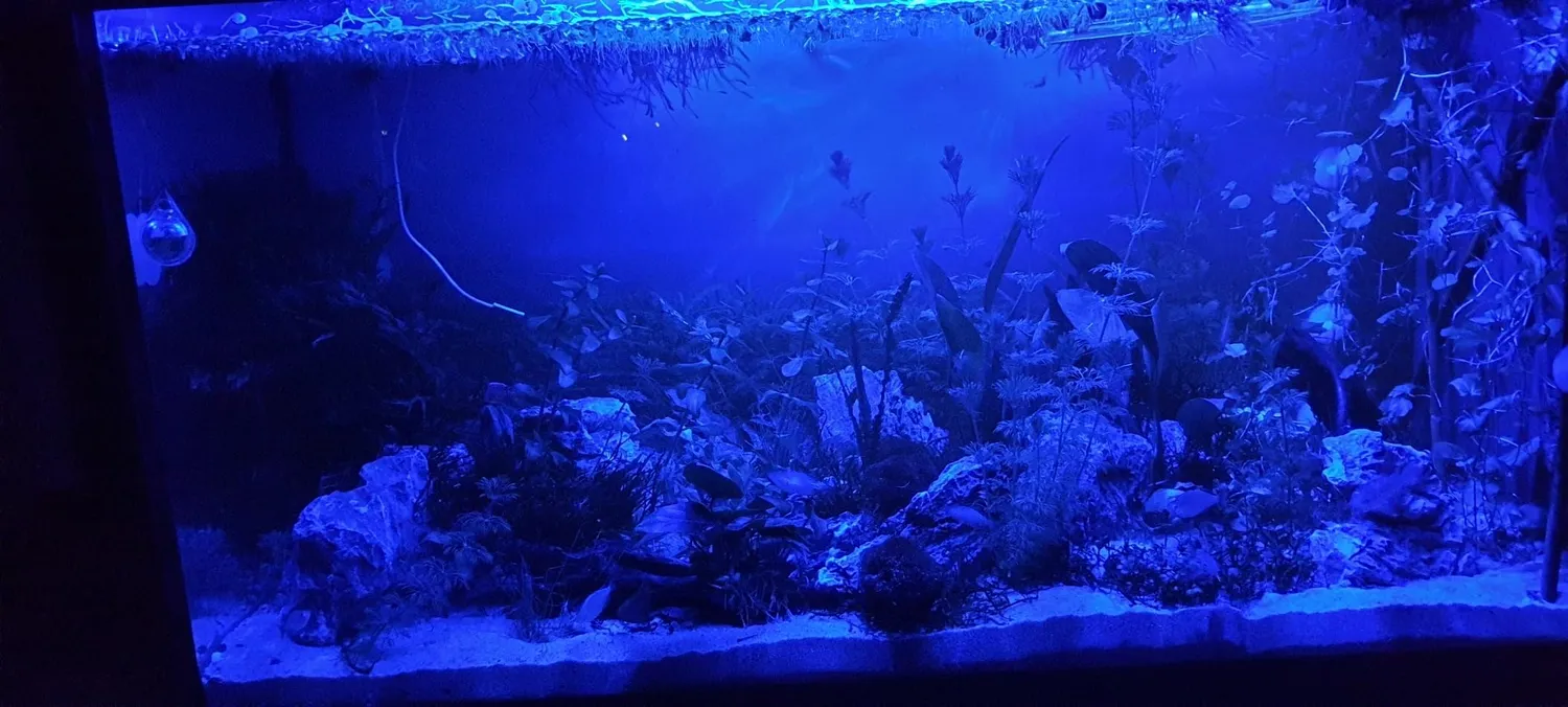Pawfly Luce LED Acquario 30 cm 24/7 Spettro Completo