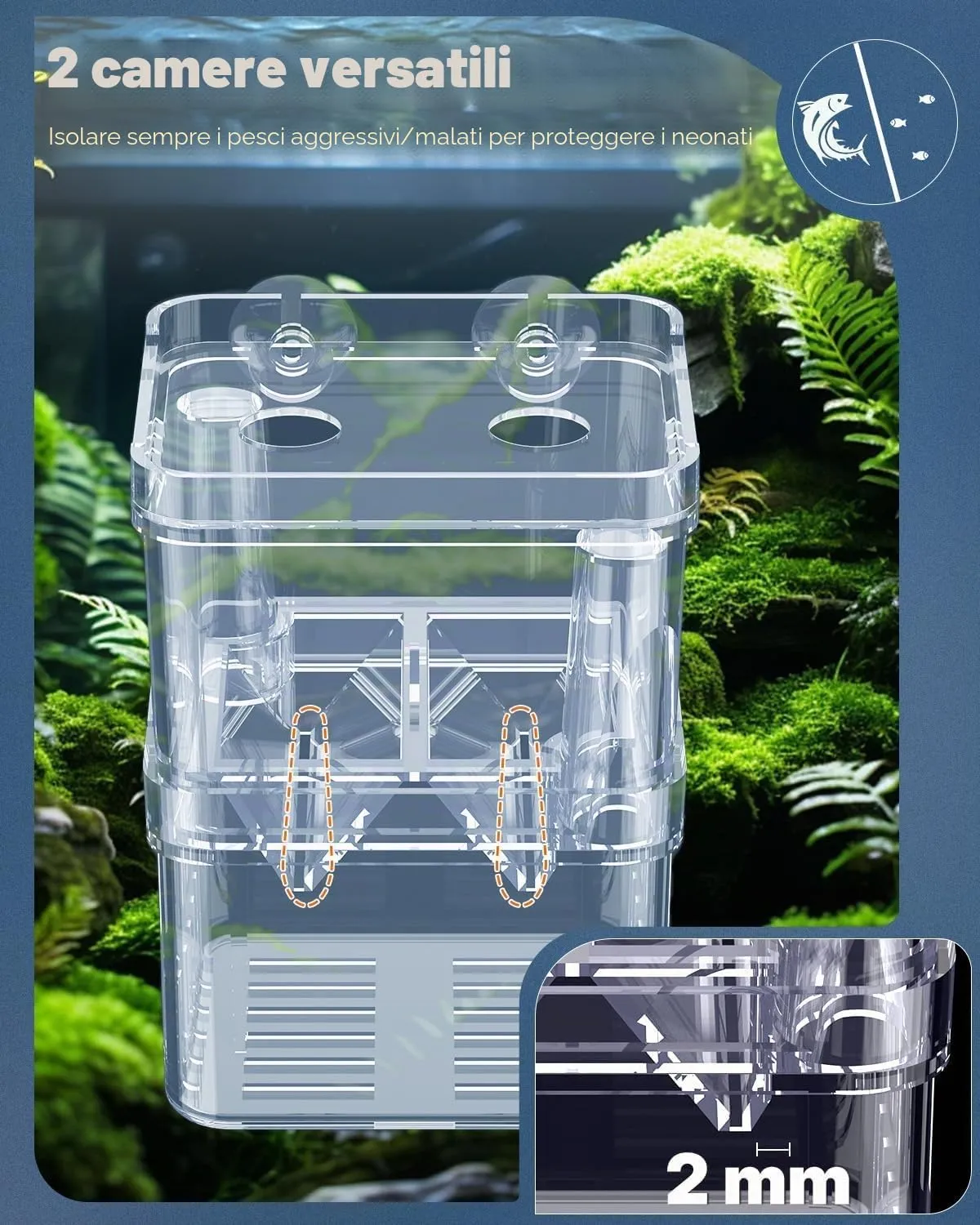 Pawfly Box Allevamento 10x7x13 cm per Avannotti 2 Camere