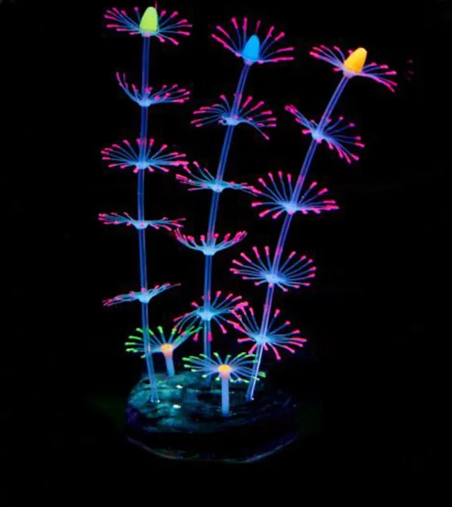 Aquariatech Decorazione Silicone Fluorescente 08P 8x6x18cm