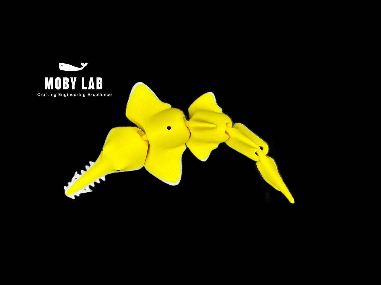 Moby Lab Fish porta cibo pesci e gamberetti PETG