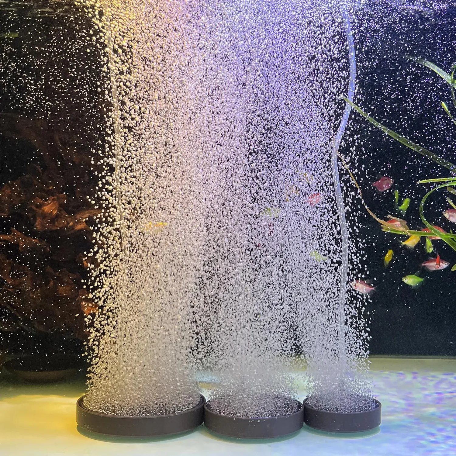 Boxtech pietra porosa acquario 80 mm kit tubo