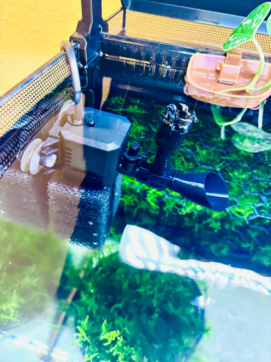 Moby Lab Skimmer Superficie Aquael Pat Mini Solo Skimmer