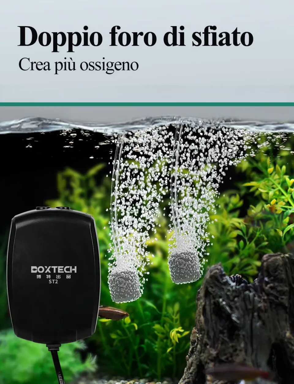Boxtech aeratore acquario mini kit ossigeno 2 vie completo