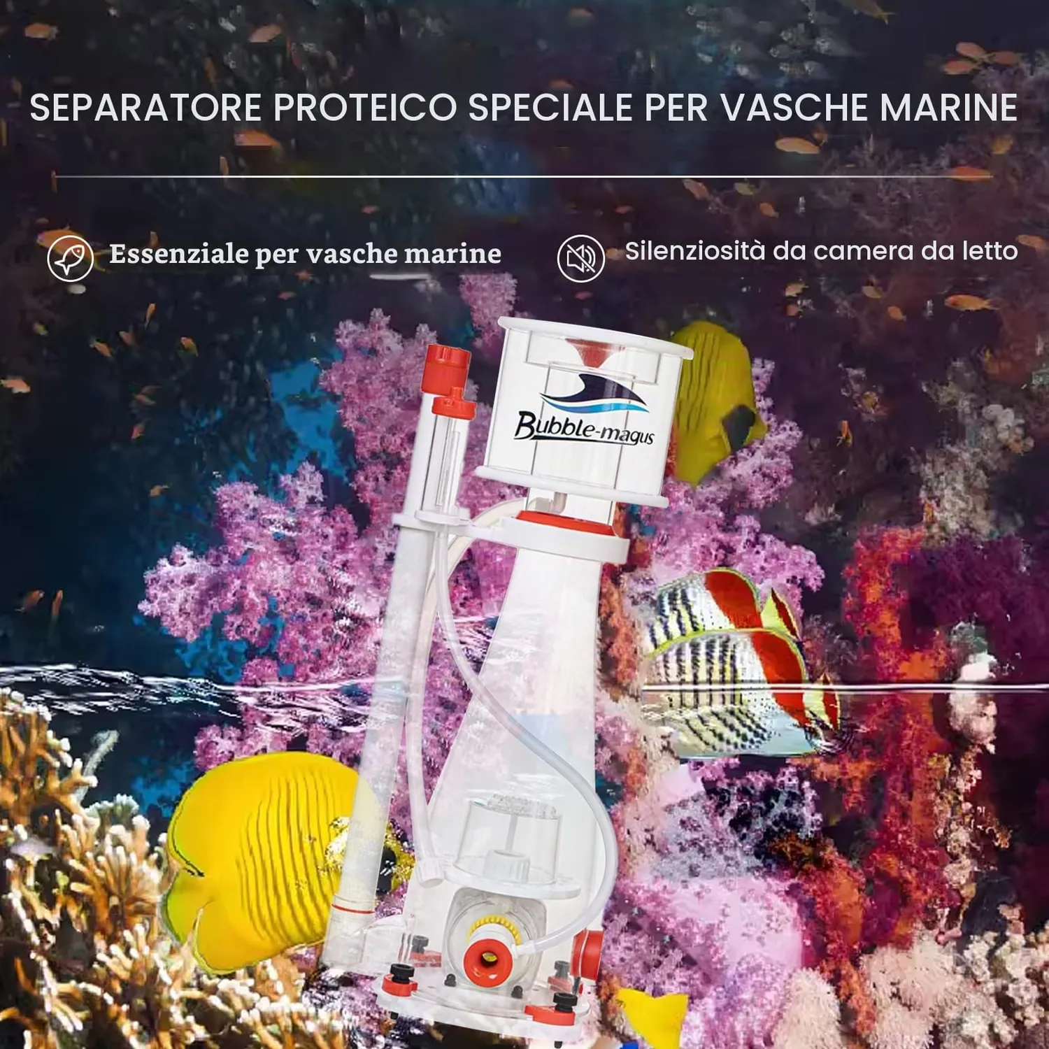Bubble Magus Curve 5 schiumatoio marino 500-700L pompa SP1000