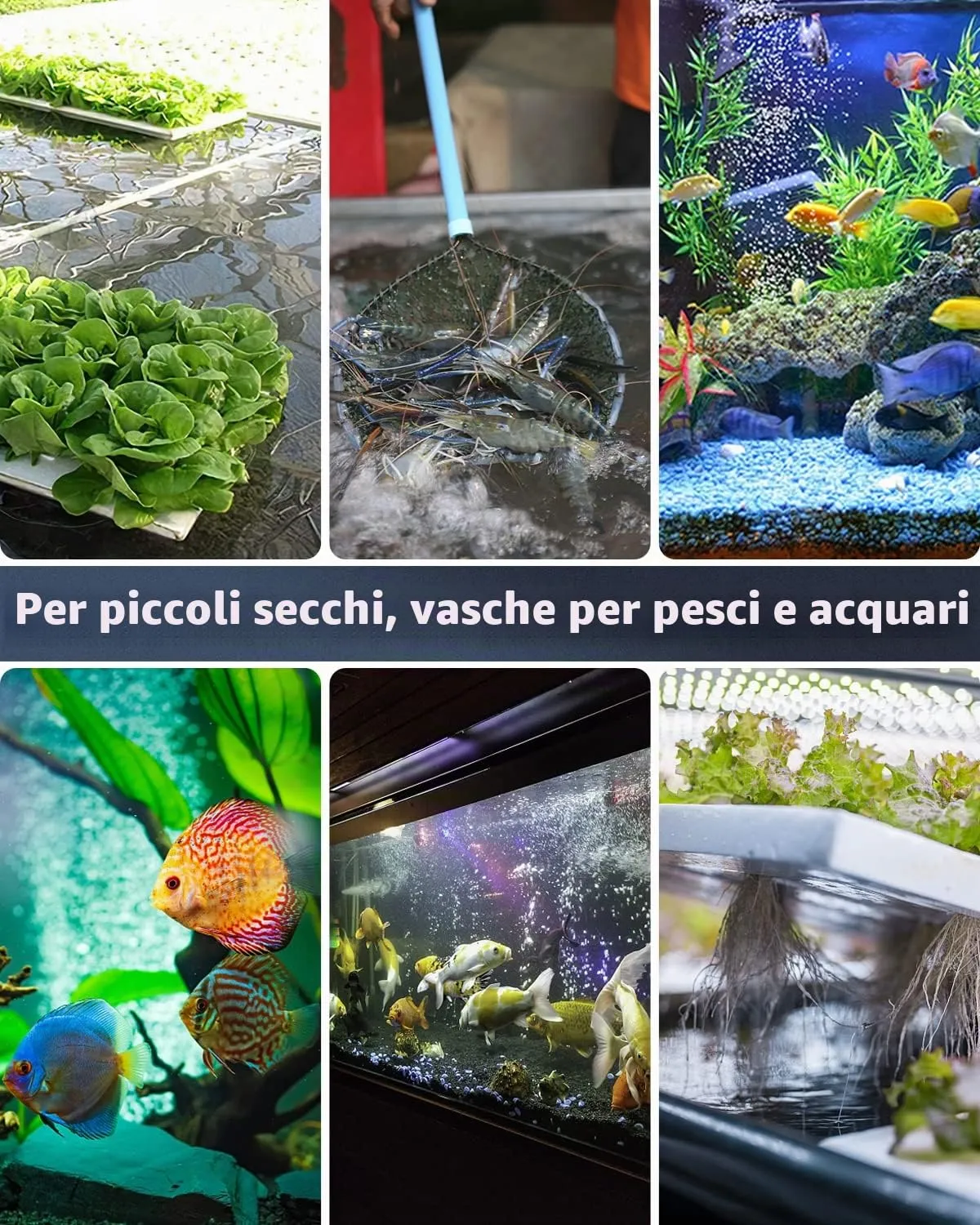 Pawfly Pietra Aria Acquario Barra 10 cm 4 Pezzi