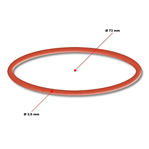SunSun CPP-5000F O-ring 4 ricambio pompa piscina