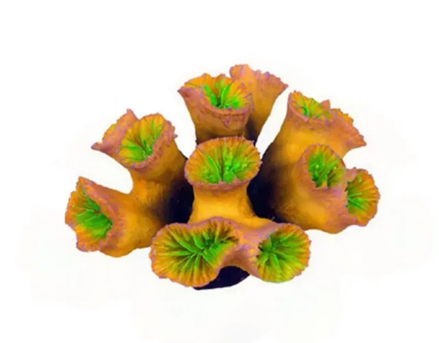 Aquariatech Corallo Euphyllia Yellow Large Resina 13cm