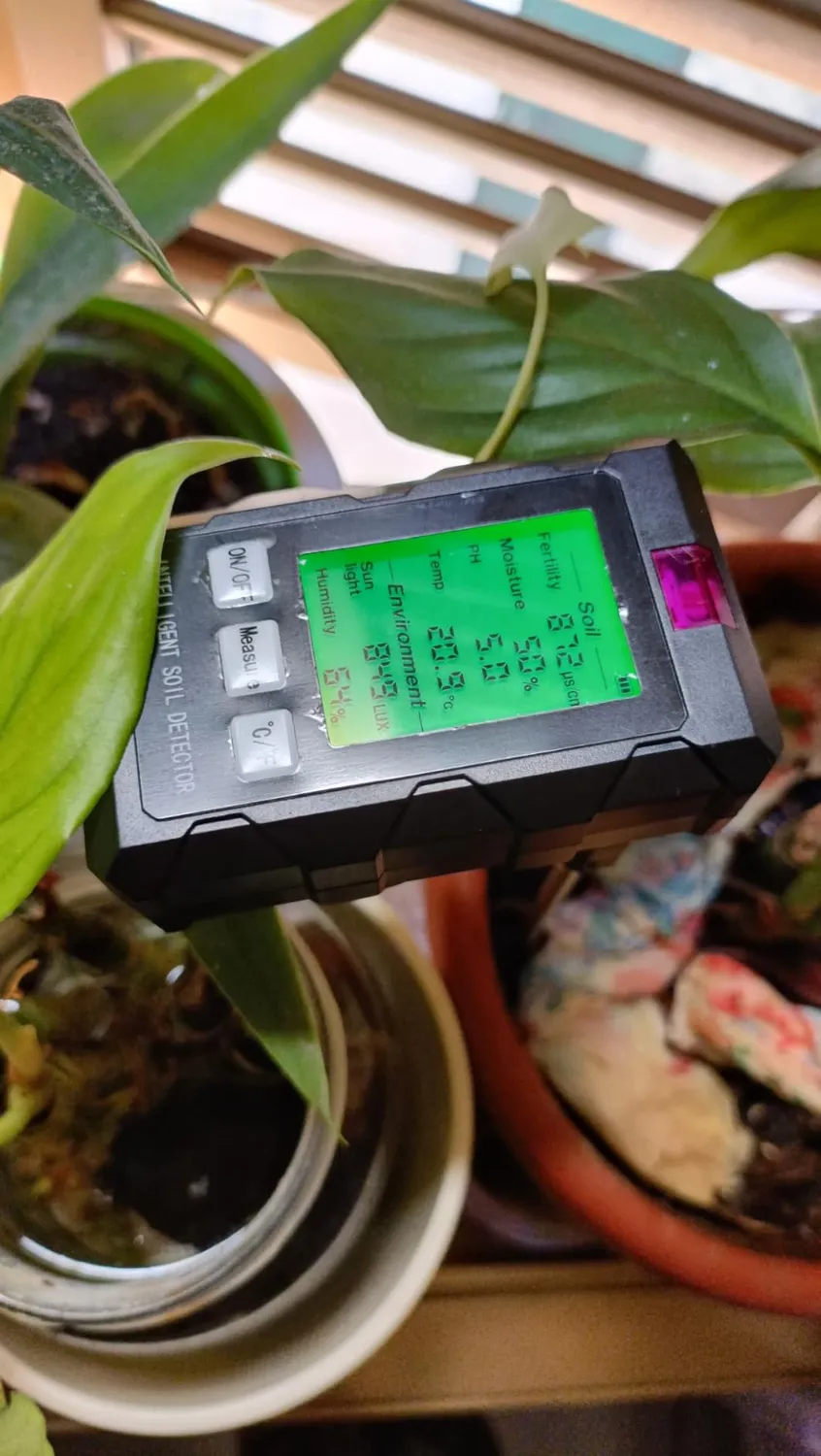 Pawfly Tester Terreno 6 in 1 Digitale con pH