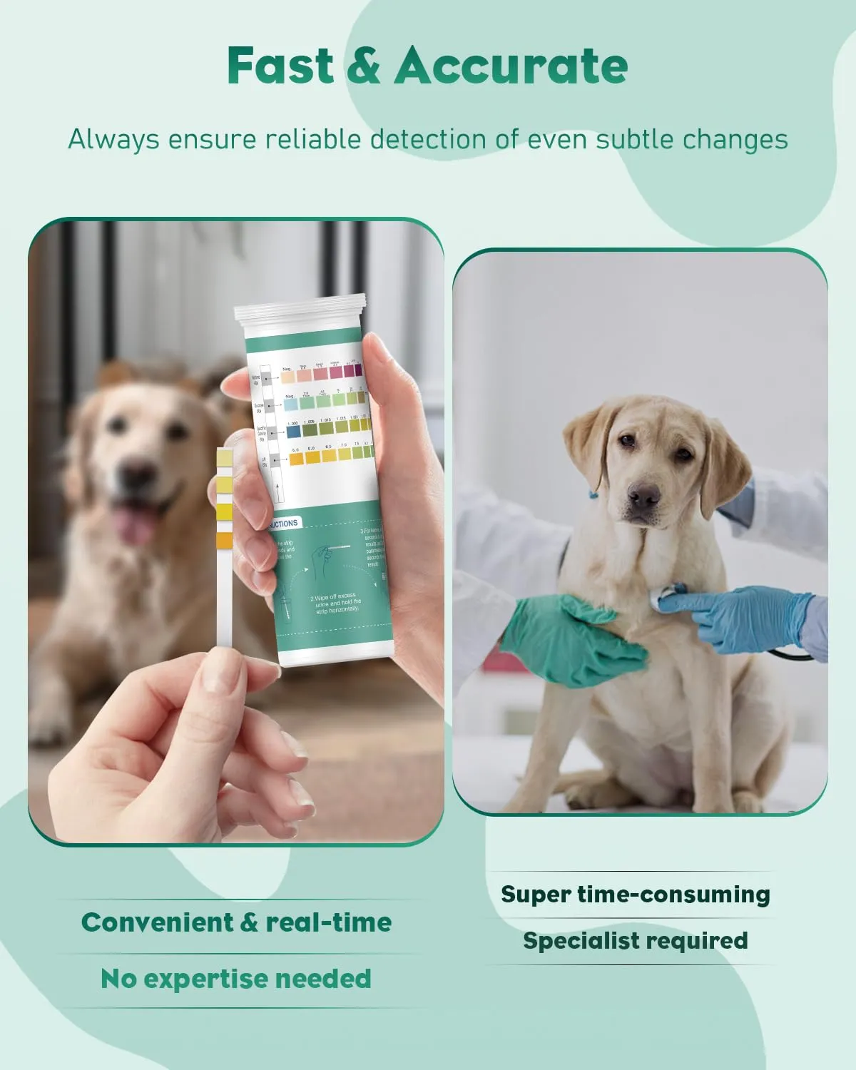 Pawfly Test Urine 4 in 1 100 Pezzi Cani e Gatti Diabete