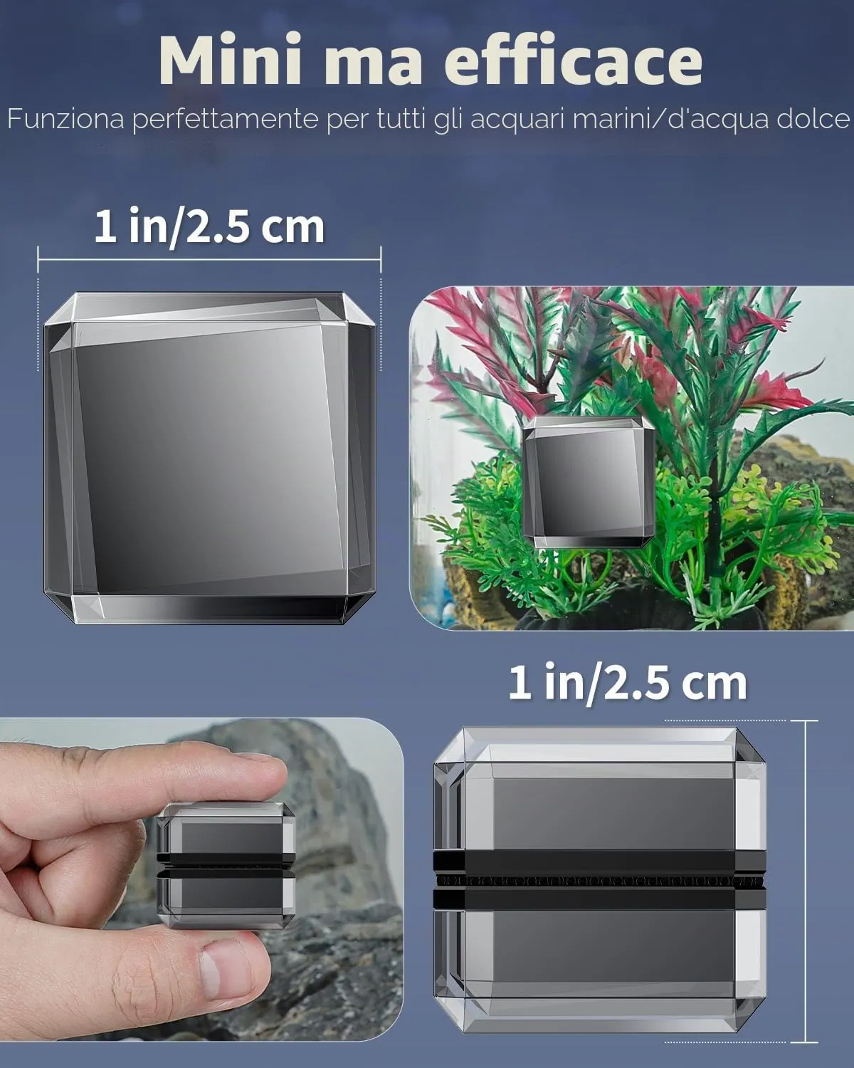 Pawfly Pulitore Magnetico 2,5 cm spazzola vetro 0,5 cm mini