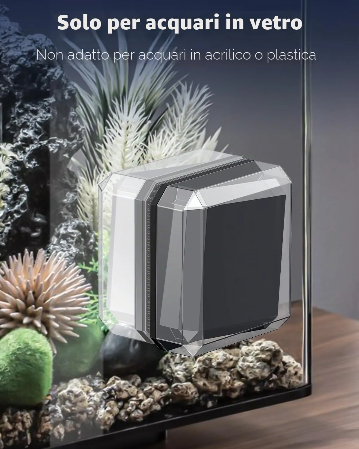 Pawfly pulitore magnetico acquario 6 cm vetro 1 cm nero