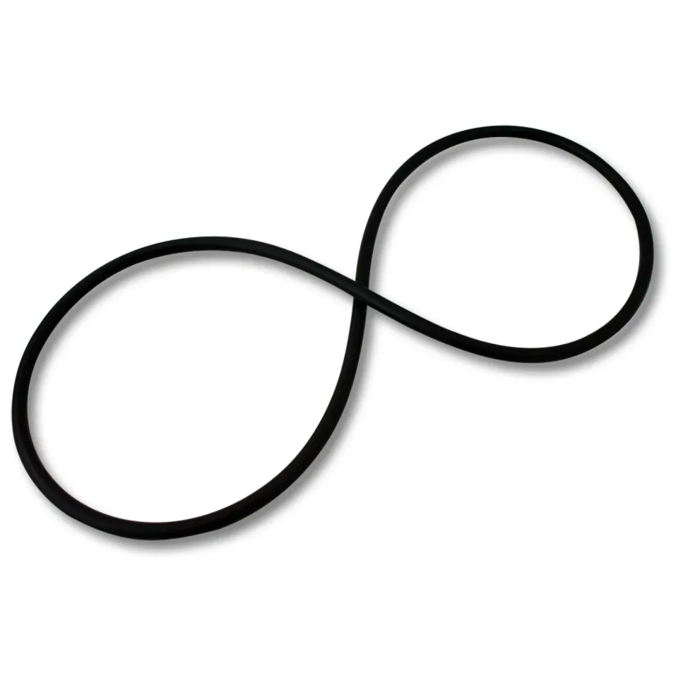 SunSun CPF-15000 Guarnizione O-ring filtro pressione ricambio