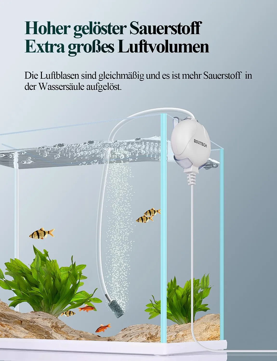 Boxtech Mini aeratore acquario 1W bianco 50L