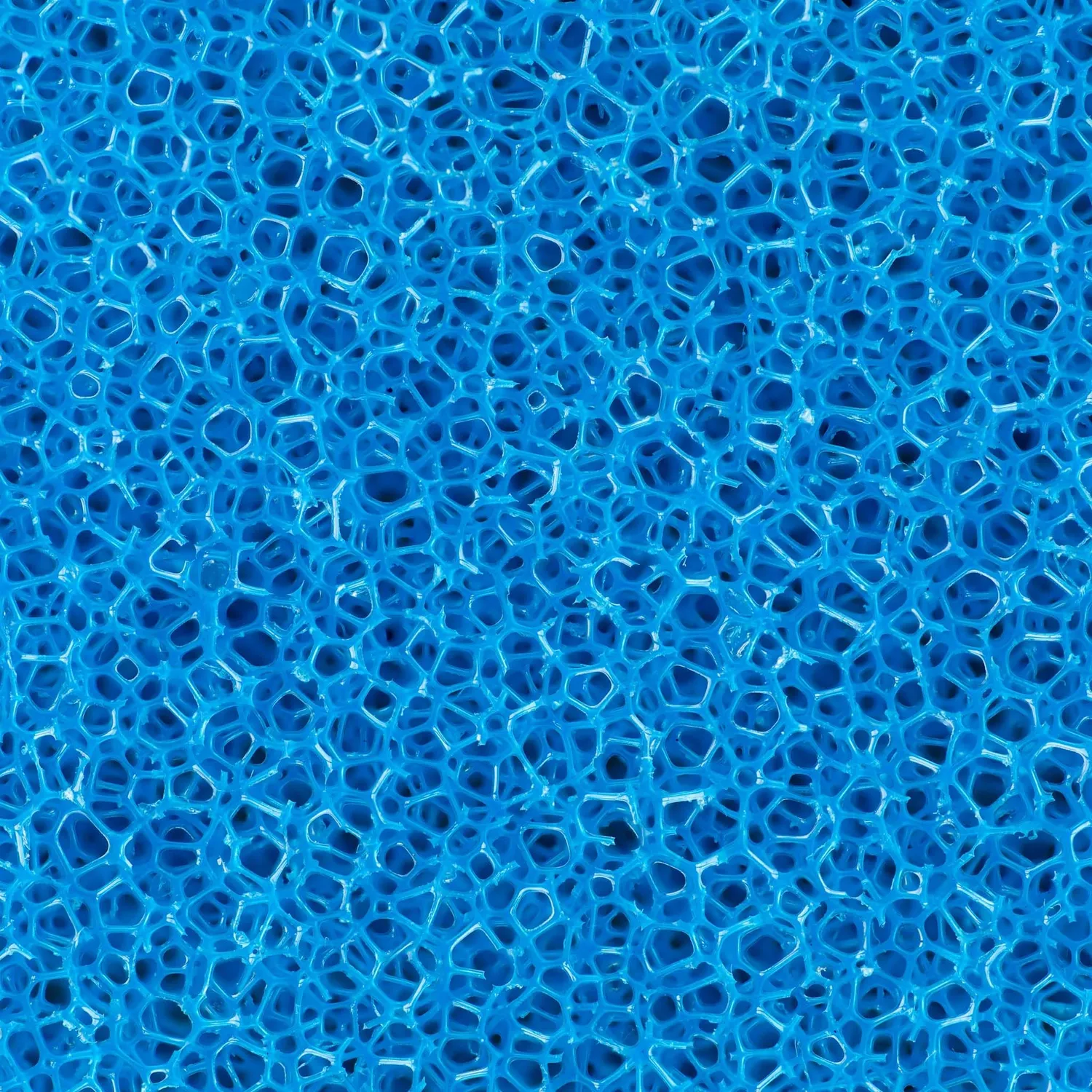 SunSun cartuccia schiuma blu filtro 9,5x9,5x50 cm media