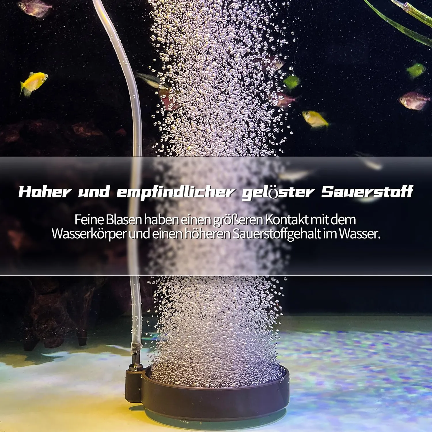 Boxtech pietra porosa acquario 80 mm kit tubo