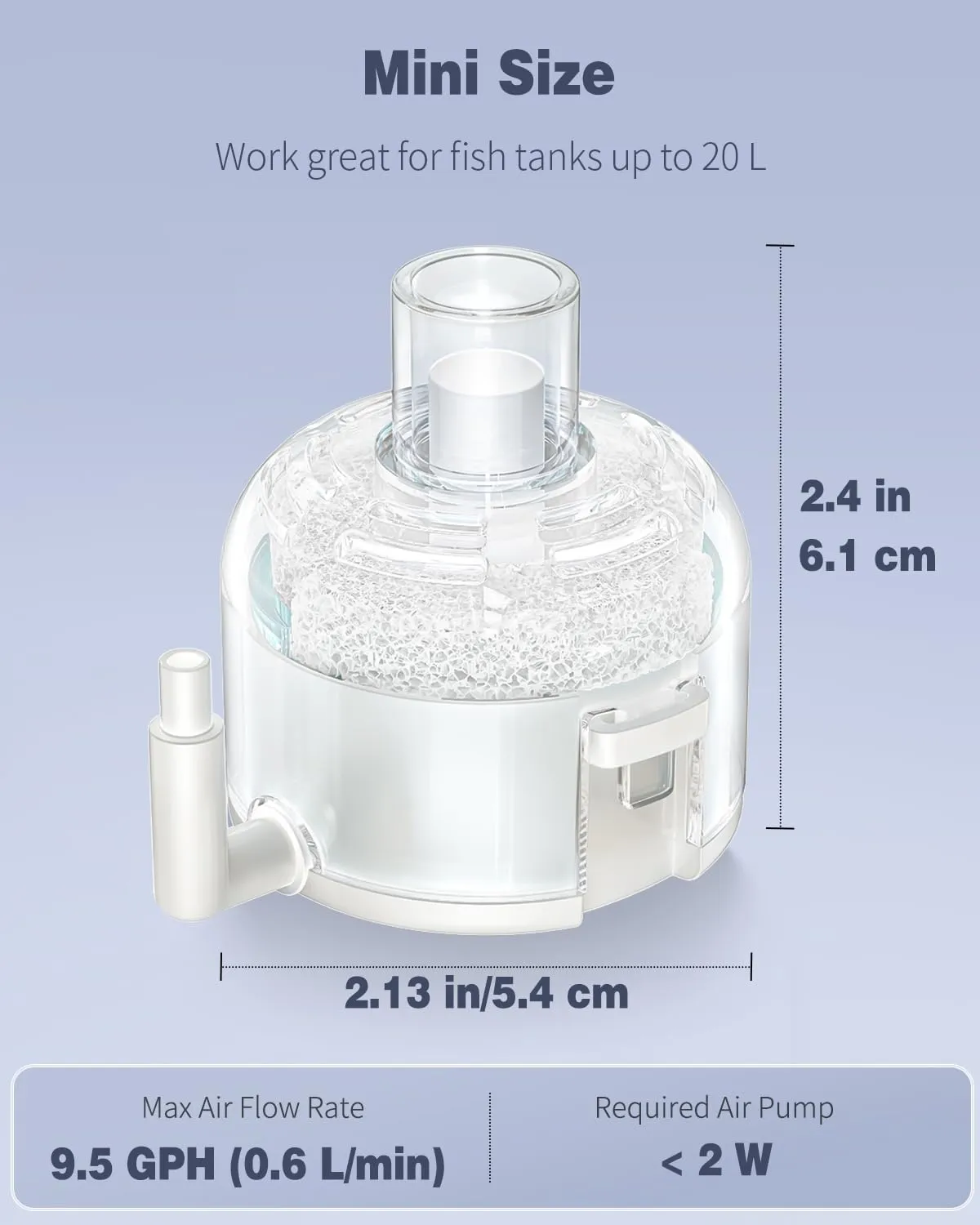 Pawfly Filtro a Spugna 5 cm OD per Acquari 20 L Betta