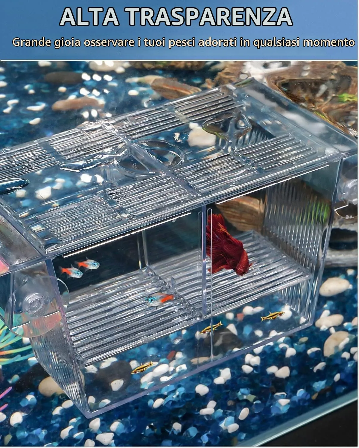 Pawfly Sala Parto Acrilico M 13,5 cm per Avannotti e Guppy